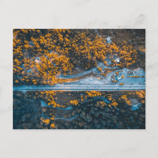 Carte Postale Los Gatos, États-Unis (Devant)