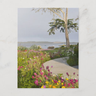 Carte Postale Los Osos et Baywood Park se sont joints à