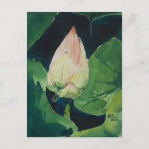 Carte postale Lotus