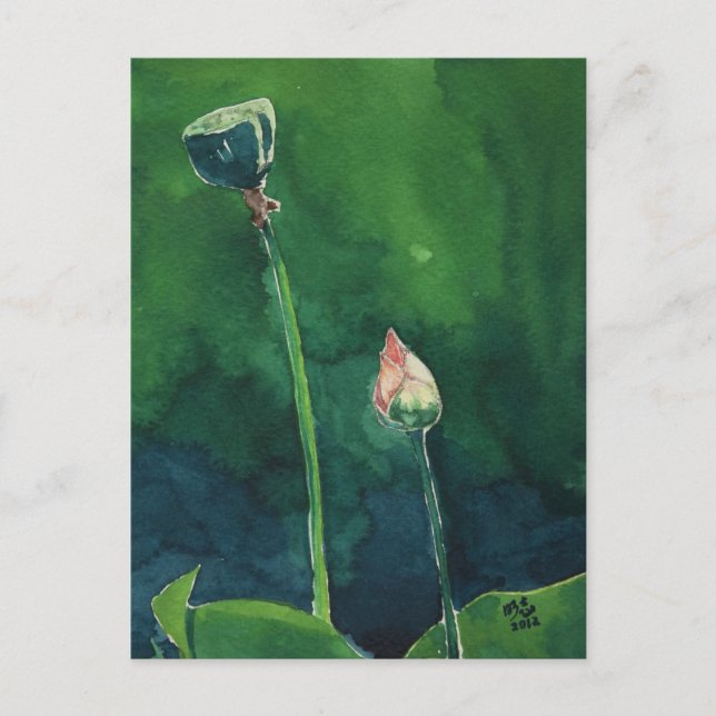 Carte postale Lotus (Devant)