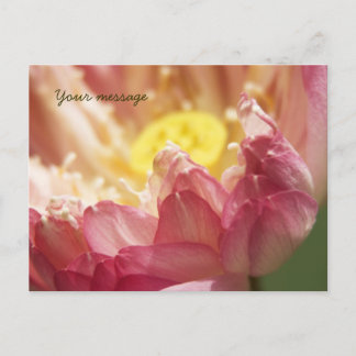 Carte postale Lotus