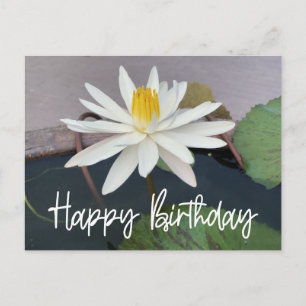 Carte Postale Lotus blanc dans l'étang Joyeux anniversaire