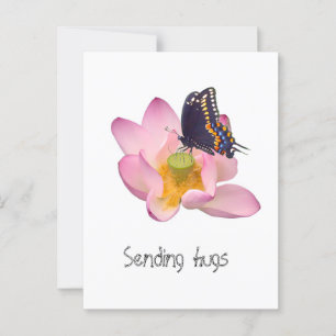 Carte Postale Lotus et papillon