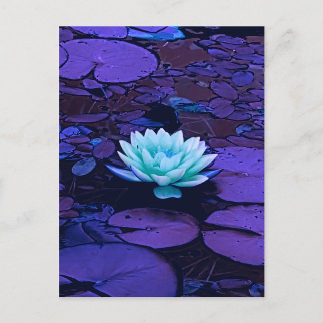 Carte Postale Lotus Fleur violet bleu Turquoise Floral Pond Zen (Devant)