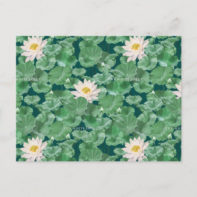 Carte Postale Lotus Lagoon Motif - Le Lotus Blanc (Devant)
