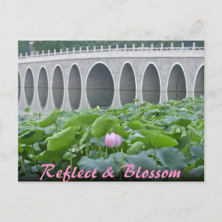 Carte Postale Lotus Pond Reflecting Bridge Arches