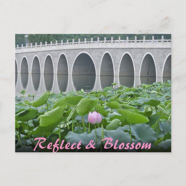 Carte Postale Lotus Pond Reflecting Bridge Arches (Devant)
