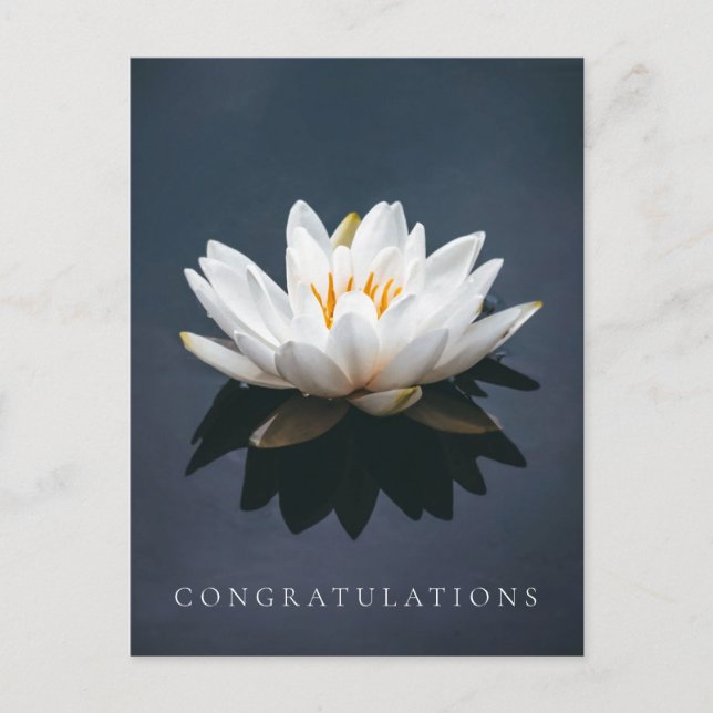 CARTE POSTALE : LOTUS POSTCARD (Devant)