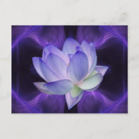 Lotus pourpre et géométrie sacrée