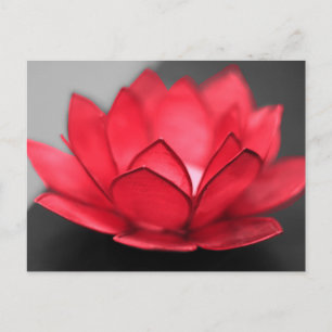 Carte Postale Lotus rouge