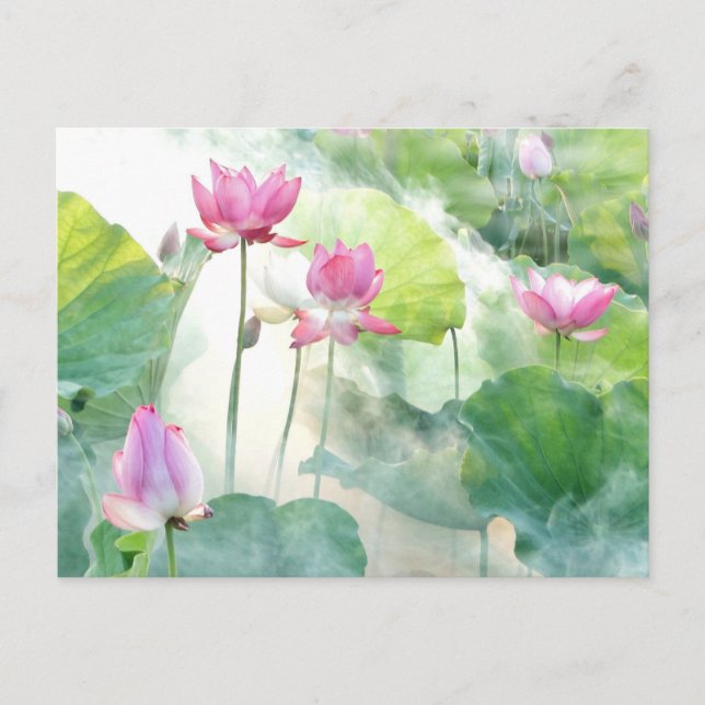 Carte Postale Lotus Summer, photographie éthérée, (Devant)