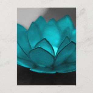 Carte Postale Lotus turquoise