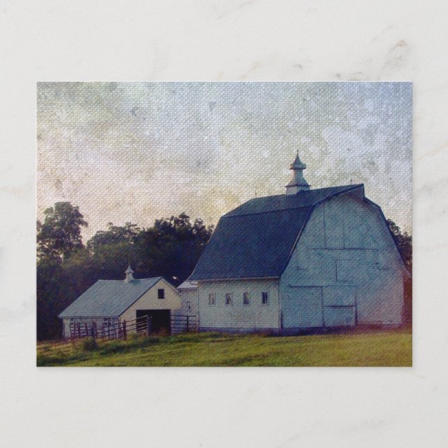 Carte Postale Louisa County Barns (Devant)