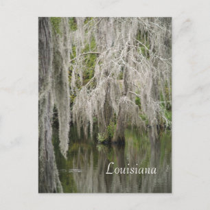 Carte postale Louisiane