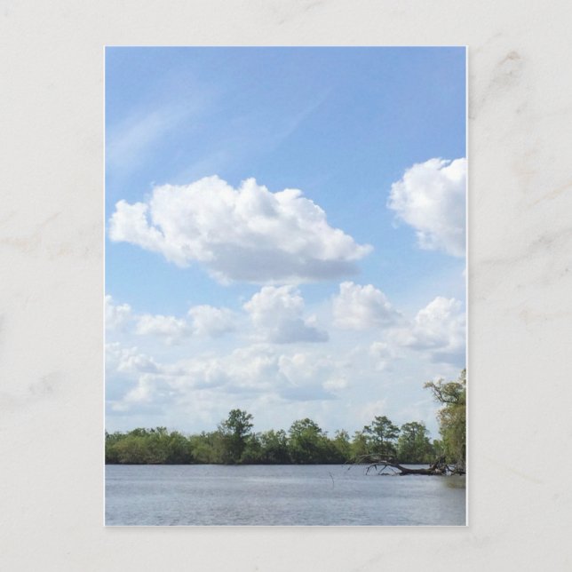 Carte Postale Louisiane Bayou (Devant)