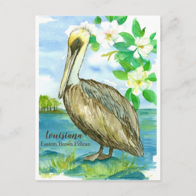 Carte Postale Louisiane Brown Est Pelican State Bird (Devant)