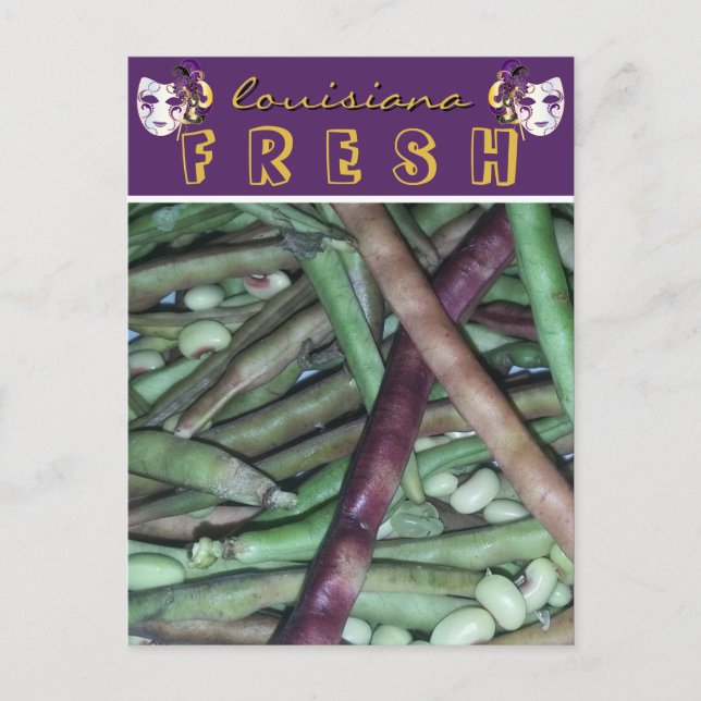 Carte Postale Louisiane frais pourpre pois de coque Voyage (Devant)