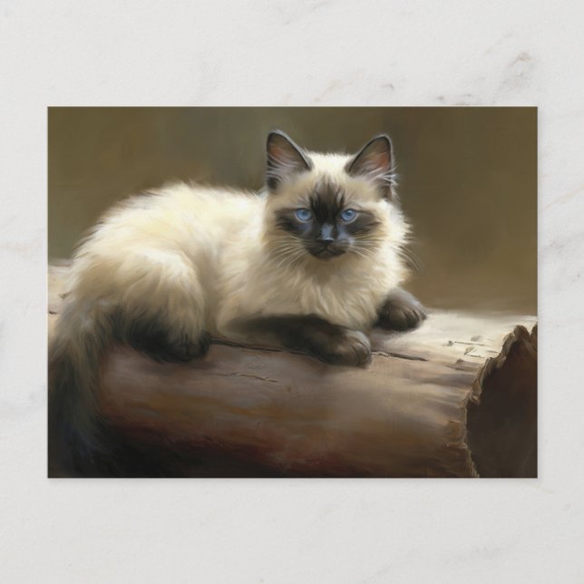 Carte Postale Lounger Siamese Kitten (Devant)