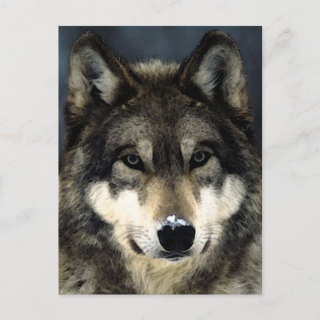 Carte Postale Loup (Devant)