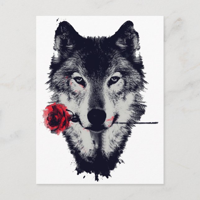 Carte Postale Loup (Devant)
