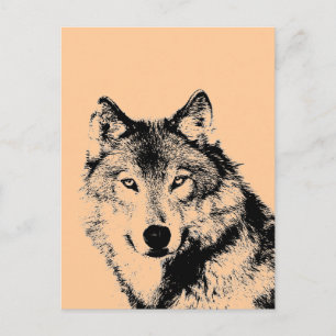 Carte Postale Loup