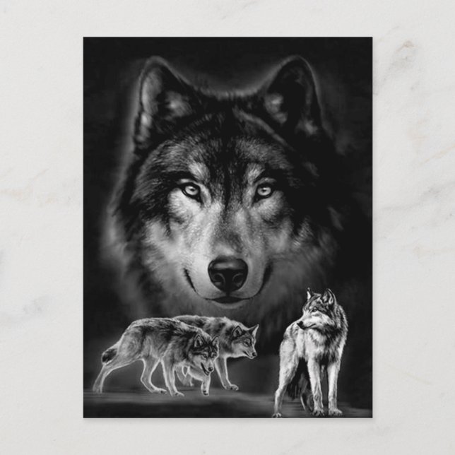 Carte Postale loup (Devant)
