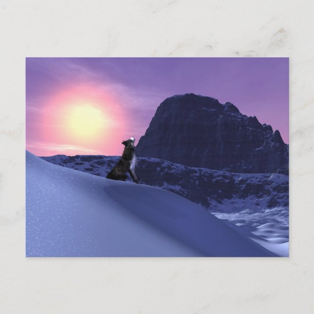 Carte Postale loup (Devant)