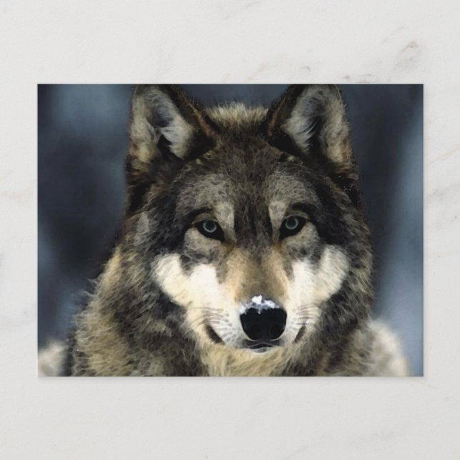 Carte Postale Loup (Devant)