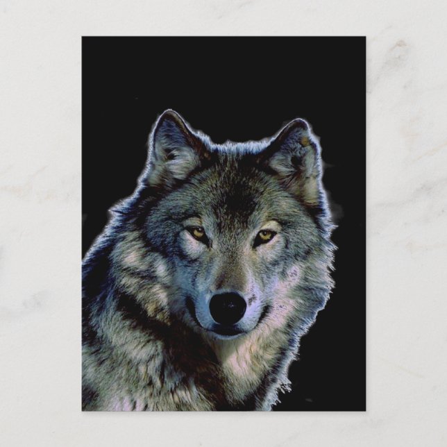 Carte Postale Loup (Devant)