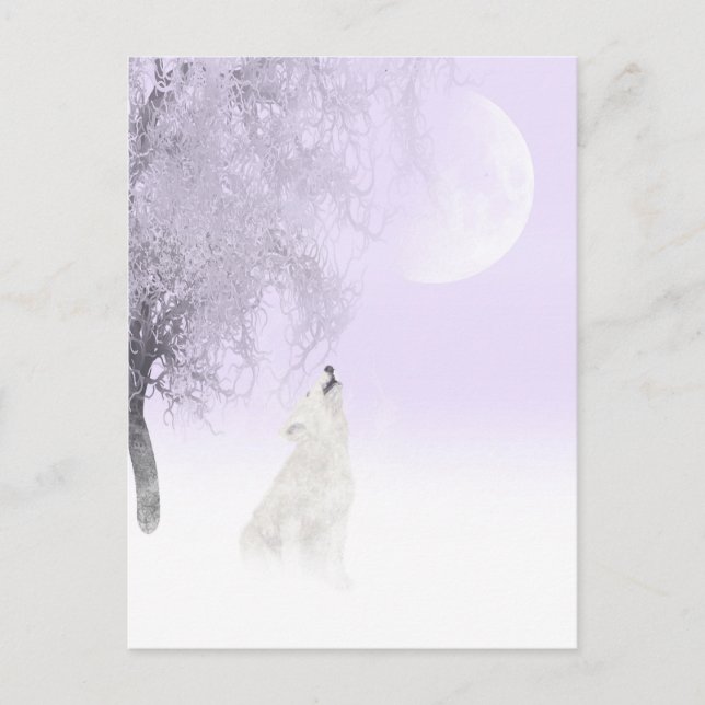 Carte Postale Loup blanc hurlant (Devant)