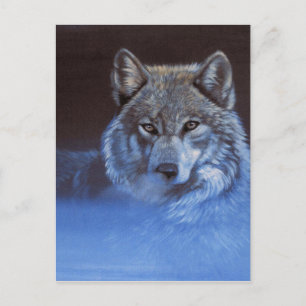 Carte Postale Loup bleu