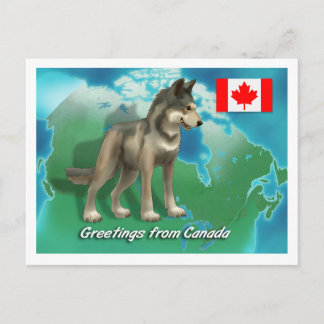 Carte Postale Loup canadien