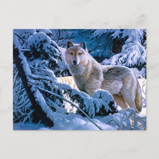 Carte Postale Loup dans la peinture de la forêt d'hiver (Devant)