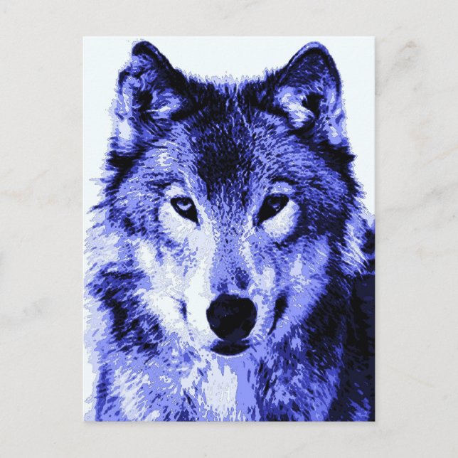 Carte Postale Loup de nuit (Devant)