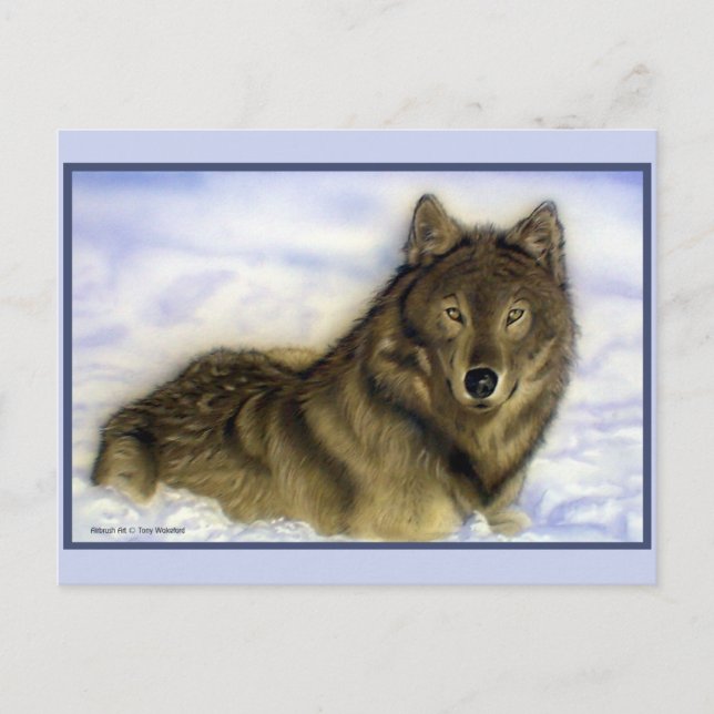 Carte Postale Loup d'hiver (Devant)
