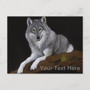 Carte Postale Loup gris