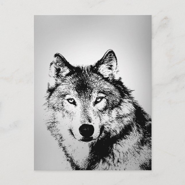 Carte postale Loup gris (Devant)