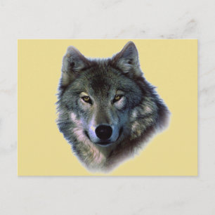 Carte Postale Loup gris