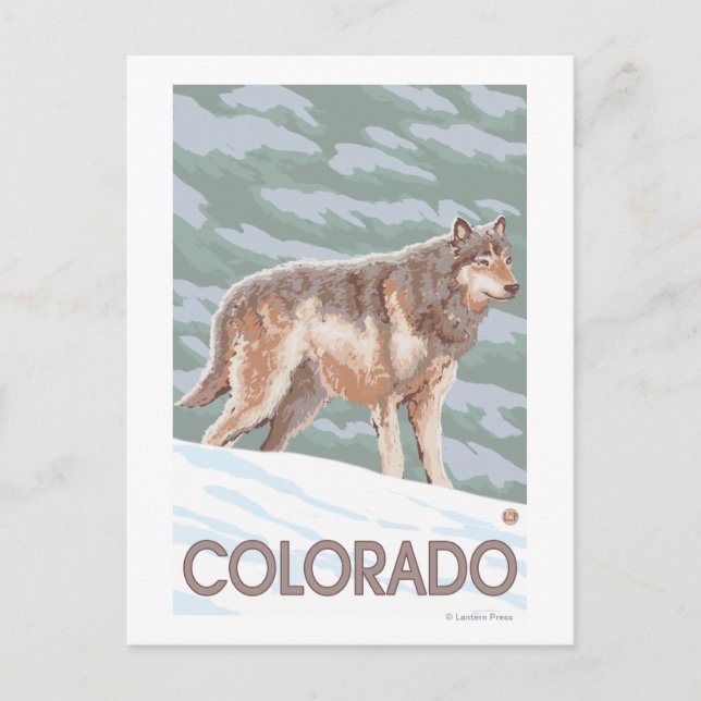 Carte Postale Loup Gris DeboutColorado (Devant)