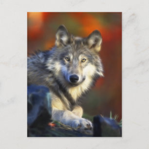 Carte Postale Loup gris, photo numérique d'espèce menacée