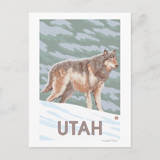 Carte Postale Loup gris StandingUtah (Devant)