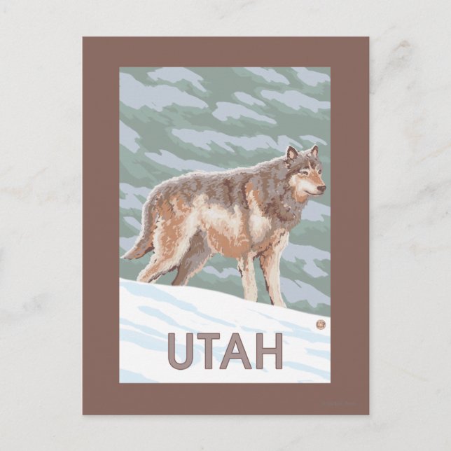 Carte Postale Loup gris StandingUtah (Devant)