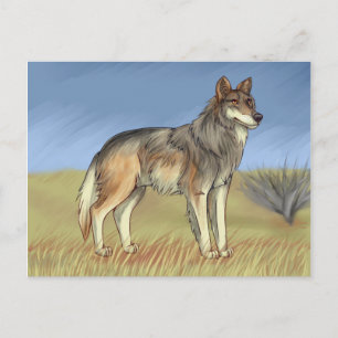 Carte Postale Loup mexicain