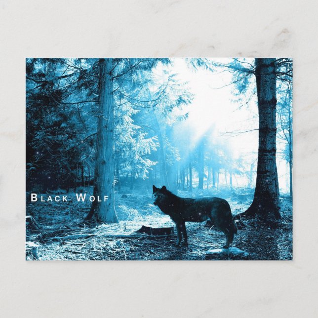 Carte Postale Loup noir (Devant)