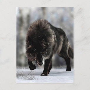 Carte Postale Loup noir en colère