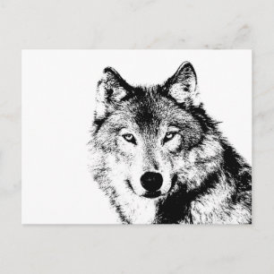 Carte Postale Loup noir et blanc