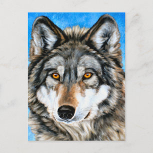 Carte Postale Loup peint