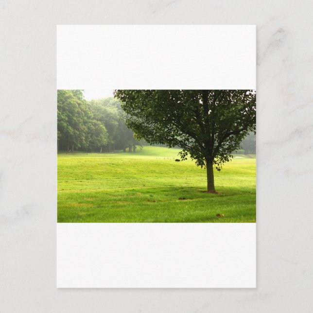 Carte Postale Loup solitaire (Devant)