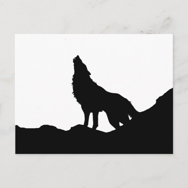 Carte Postale Loup solitaire debout sur une colline (Devant)