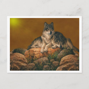 Carte postale Loups